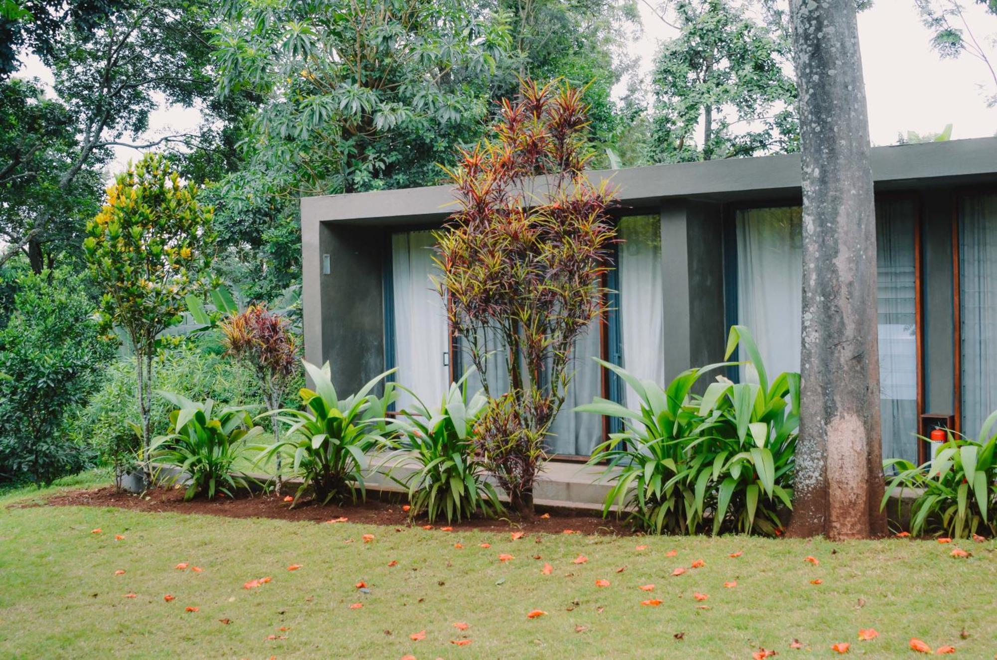 Kaliwa Lodge โมชิ ภายนอก รูปภาพ