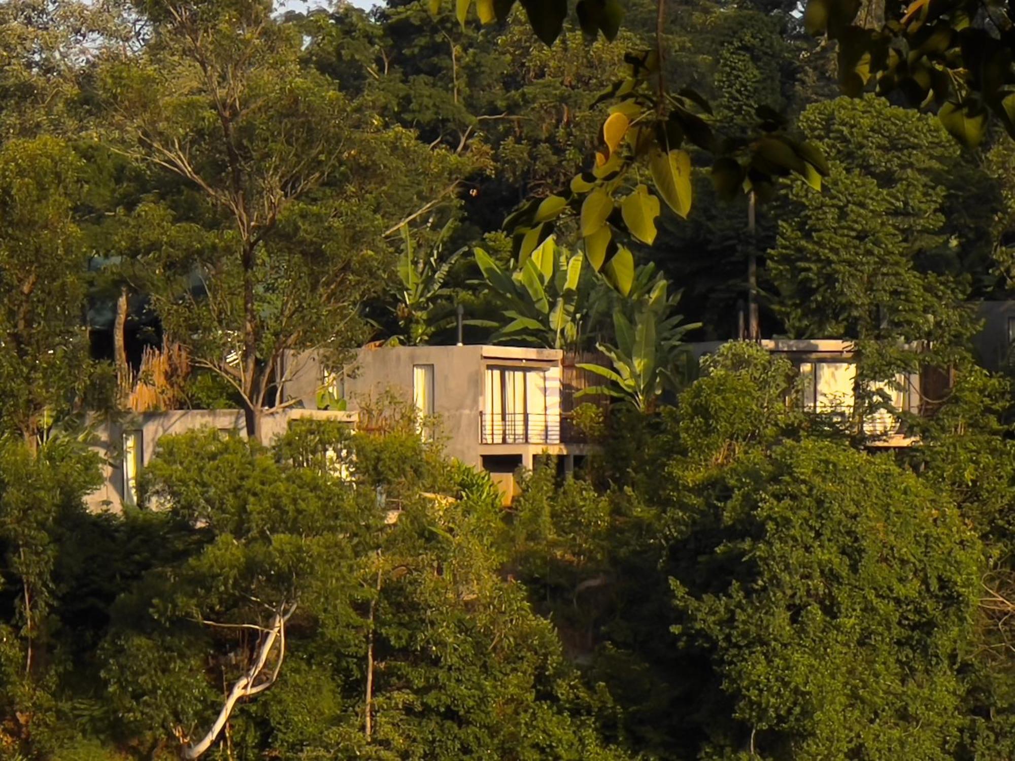 Kaliwa Lodge โมชิ ภายนอก รูปภาพ